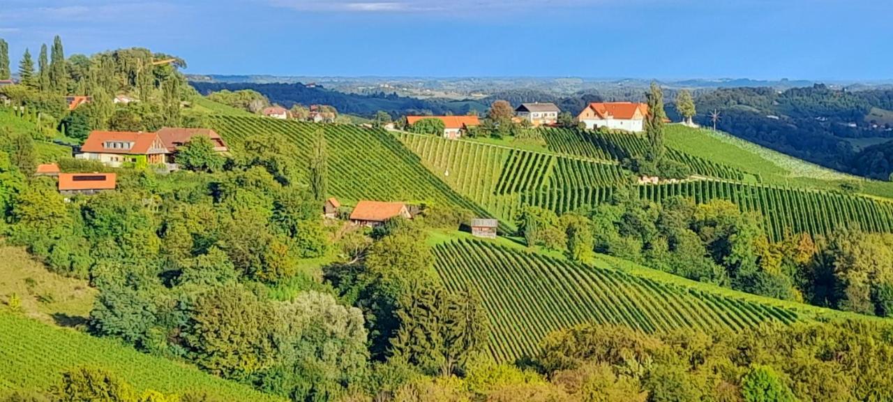 Glanz Und Gloria Weingartenapartment An Der Kellerstrasse, Viele Buschenschaenke, Sehr Ruhige Lage, Herrliche Aussicht! Leutschach Zewnętrze zdjęcie