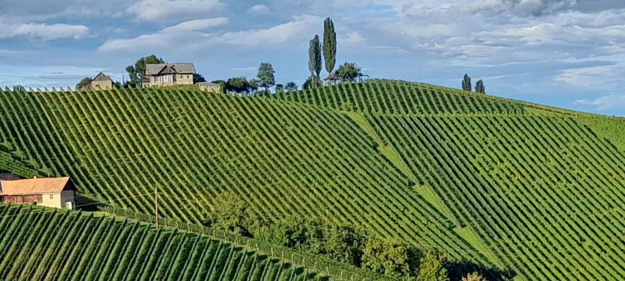 Glanz Und Gloria Weingartenapartment An Der Kellerstrasse, Viele Buschenschaenke, Sehr Ruhige Lage, Herrliche Aussicht! Leutschach Zewnętrze zdjęcie