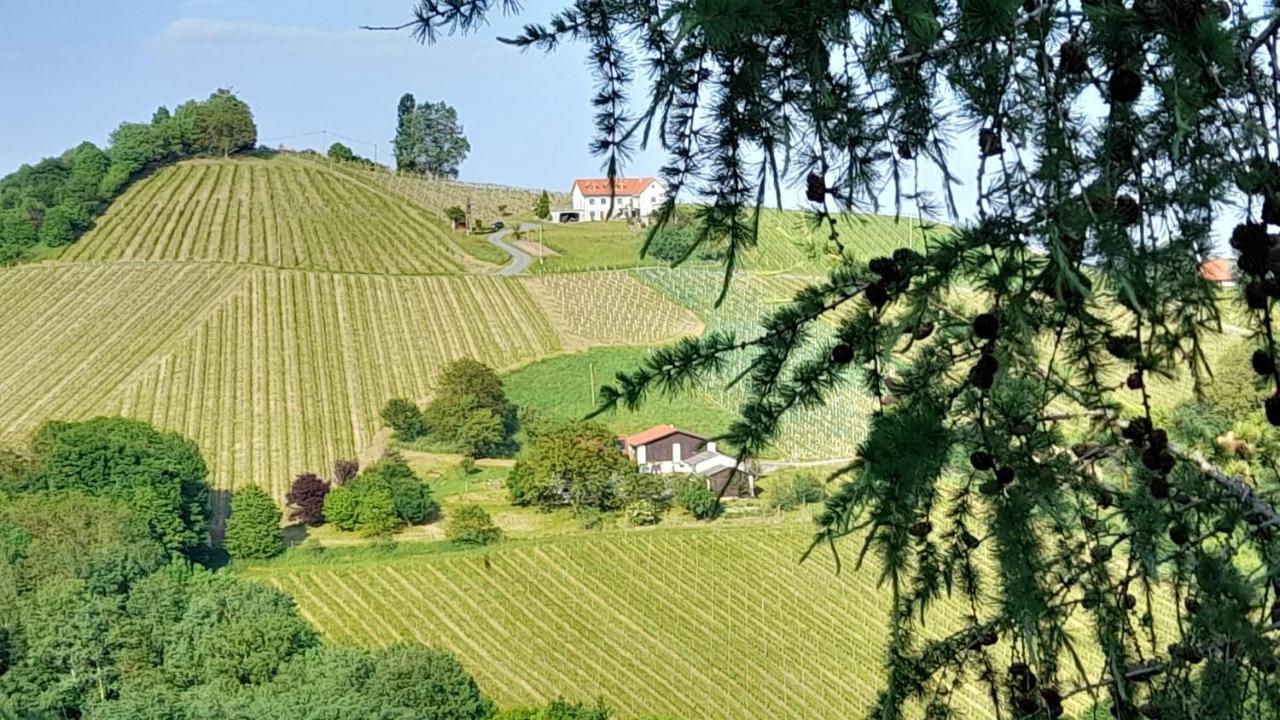 Glanz Und Gloria Weingartenapartment An Der Kellerstrasse, Viele Buschenschaenke, Sehr Ruhige Lage, Herrliche Aussicht! Leutschach Zewnętrze zdjęcie