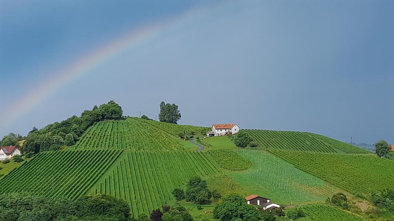 Glanz Und Gloria Weingartenapartment An Der Kellerstrasse, Viele Buschenschaenke, Sehr Ruhige Lage, Herrliche Aussicht! Leutschach Zewnętrze zdjęcie