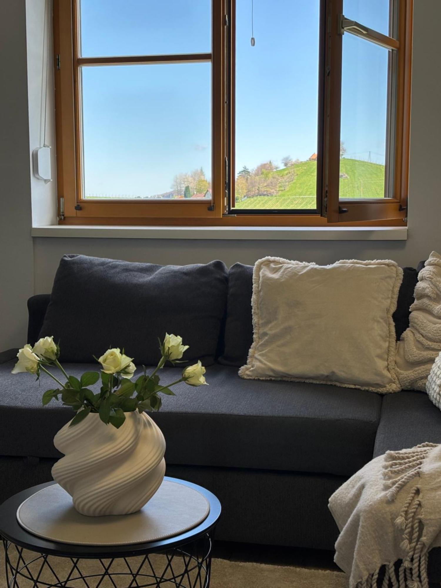 Glanz Und Gloria Weingartenapartment An Der Kellerstrasse, Viele Buschenschaenke, Sehr Ruhige Lage, Herrliche Aussicht! Leutschach Zewnętrze zdjęcie